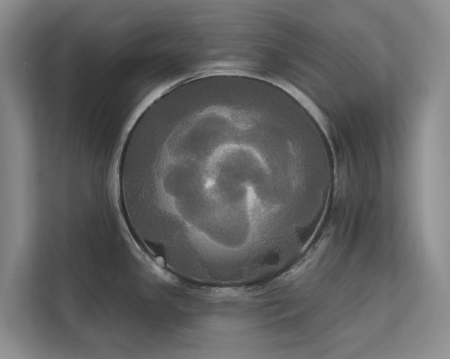 X0000113061341200908281126