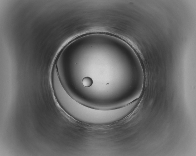 X0000113061342200908281126