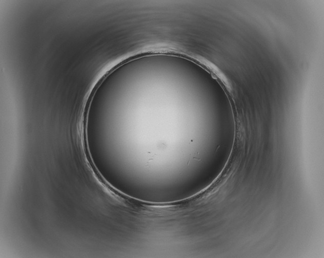 X0000113061343200908281126