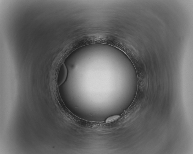 X0000113061345200908281126