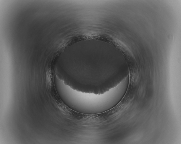 X0000113061346200908281126