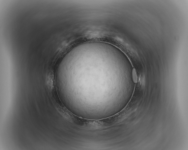 X0000113061348200908281126