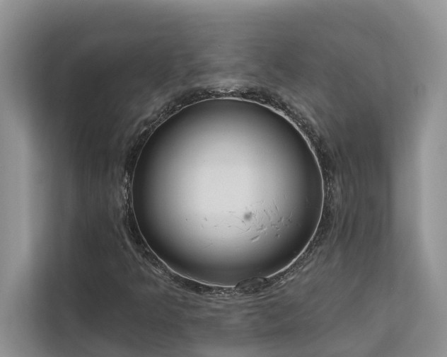 X0000113061349200908281126