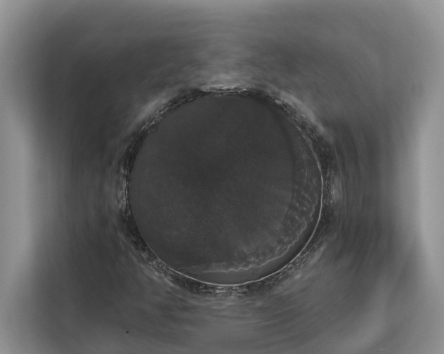 X0000113061350200908281126