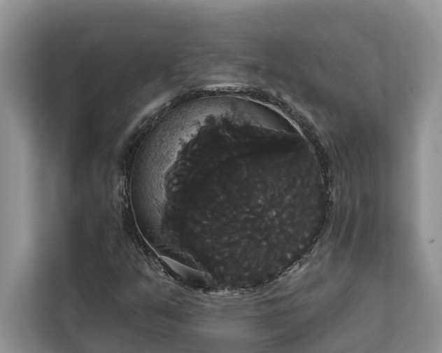 X0000113061351200908281126