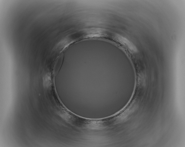 X0000113061353200908281126