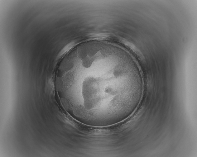 X0000113061354200908281126