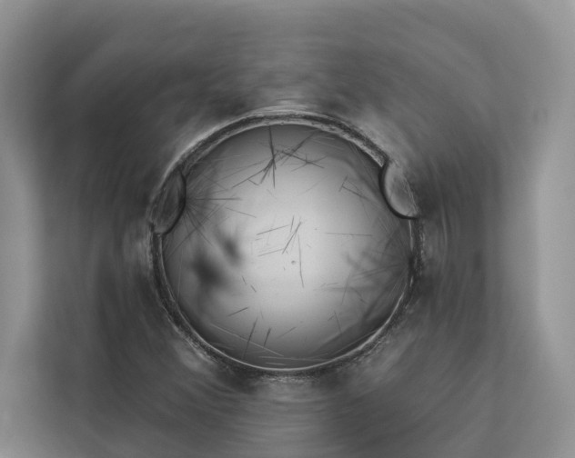 X0000113061356200908281126