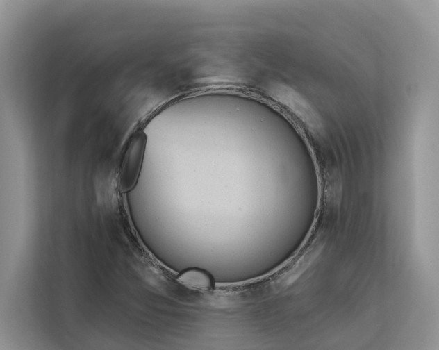 X0000113061357200908281126
