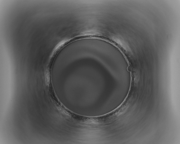X0000113061358200908281126