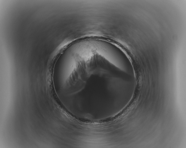 X0000113061359200908281126