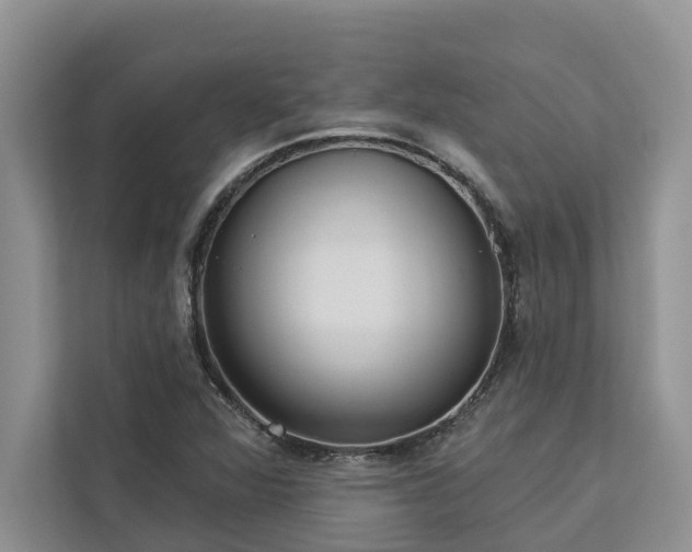 X0000113061360200908281126