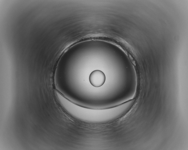 X0000113061361200908281126
