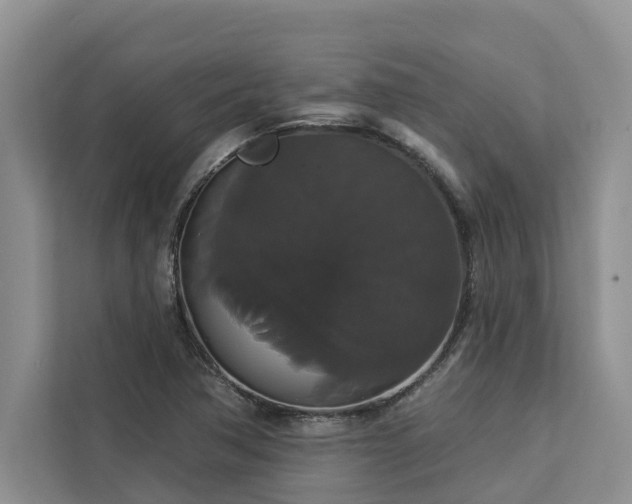 X0000113061362200908281126