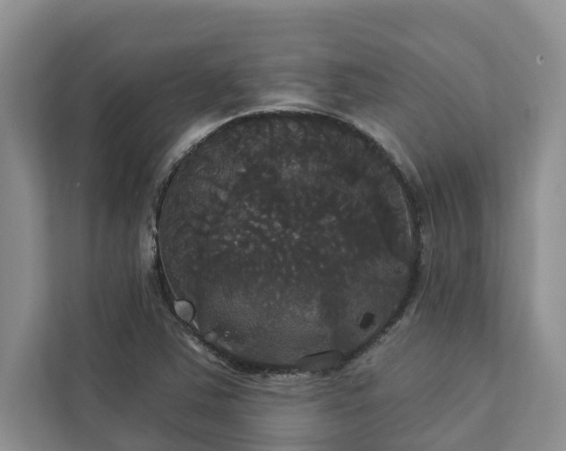 X0000113061363200908281125