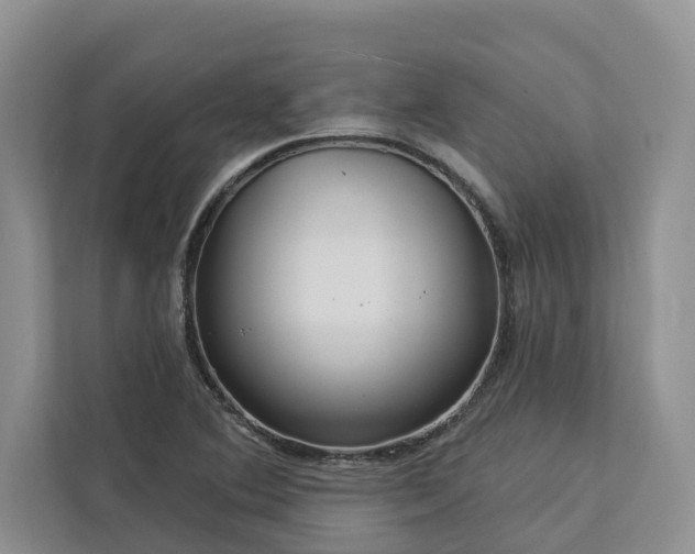 X0000113061364200908281125