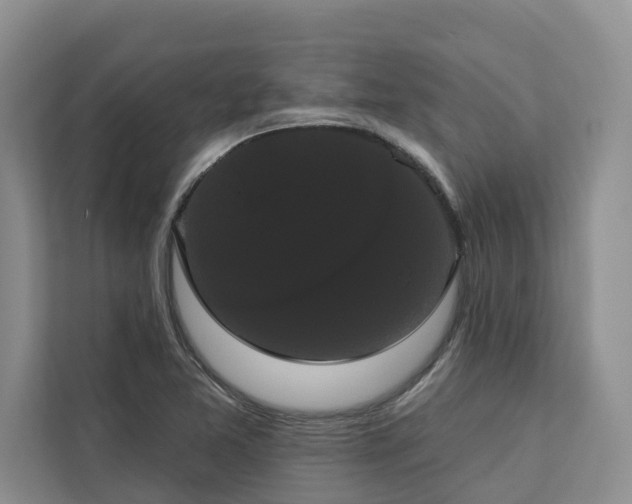 X0000113061365200908281125