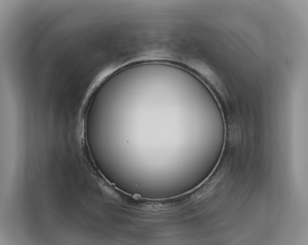 X0000113061366200908281125