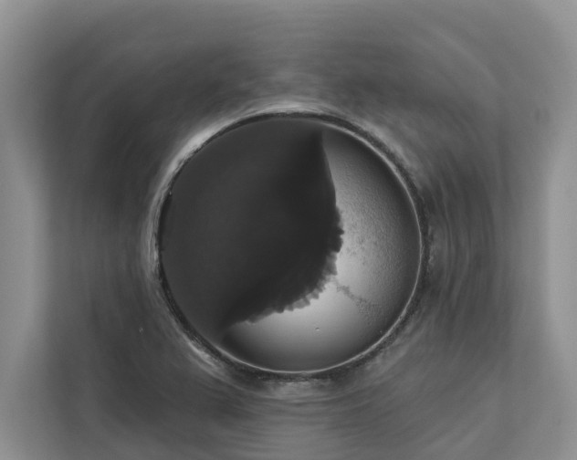 X0000113061367200908281125