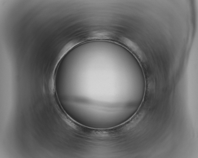 X0000113061370200908281125