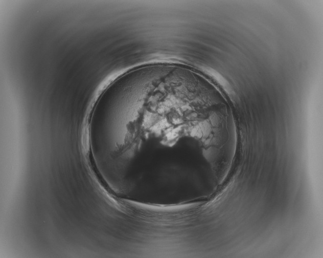 X0000113061371200908281125