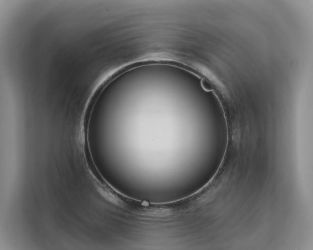 X0000113061372200908281125
