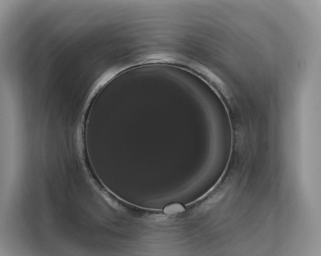 X0000113061373200908281125