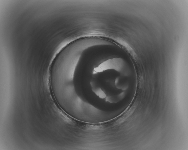 X0000113061374200908281125