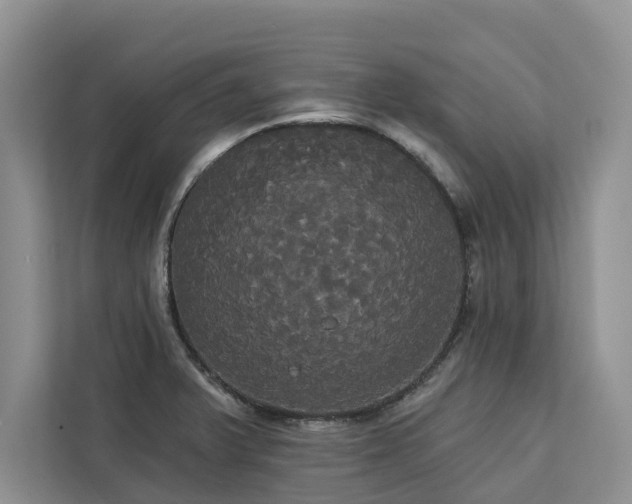 X0000113061375200908281125