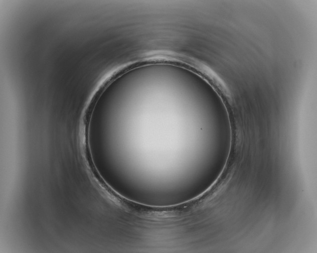 X0000113061376200908281125