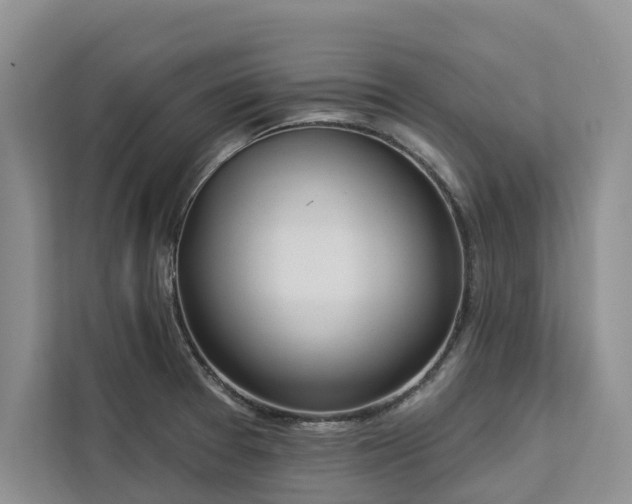 X0000113061377200908281125