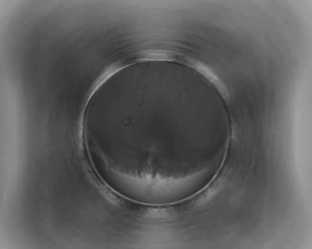 X0000113061378200908281125