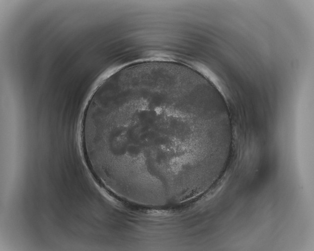 X0000113061379200908281125