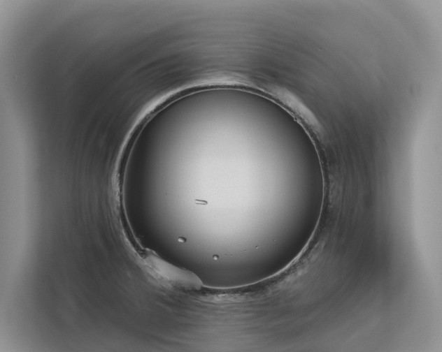 X0000113061380200908281125