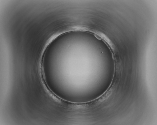 X0000113061381200908281125