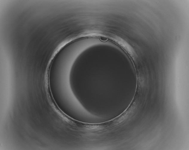 X0000113061382200908281125