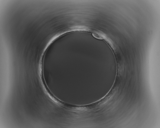X0000113061383200908281125