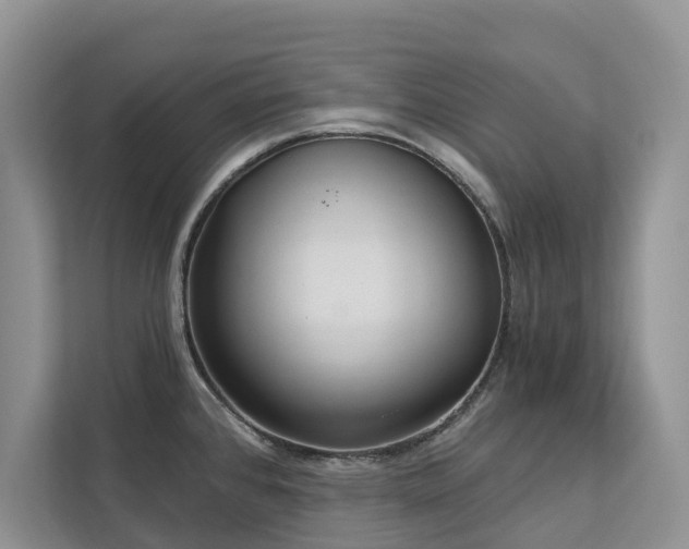 X0000113061384200908281125