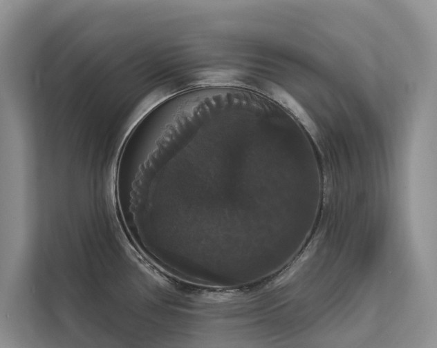 X0000113061386200908281125