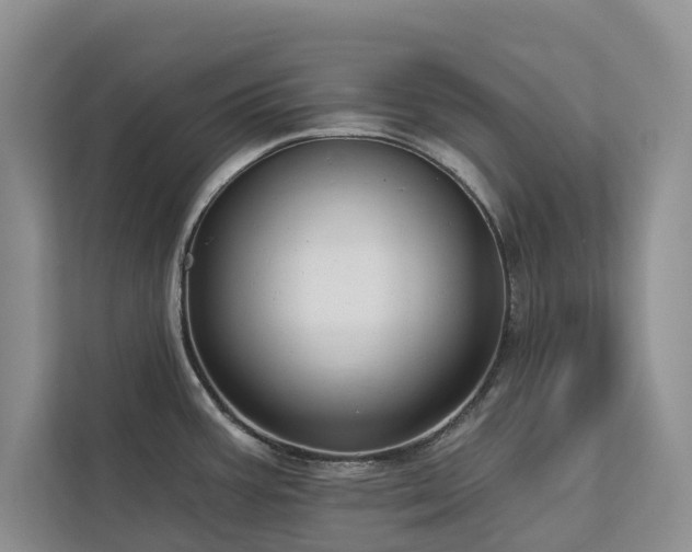 X0000113061387200908281125