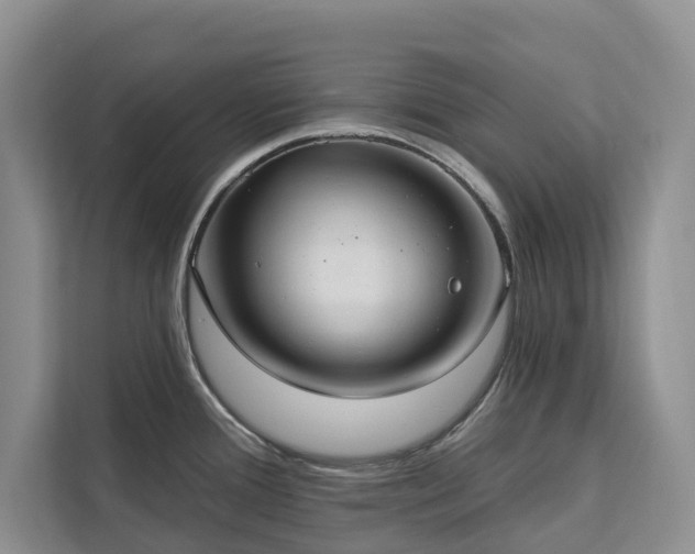 X0000113061388200908281125