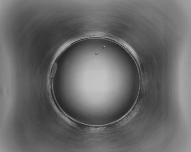 X0000113061389200908281125