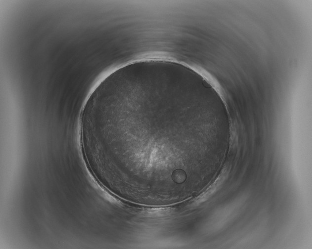 X0000113061390200908281125