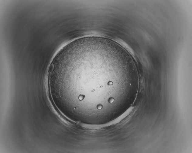 X0000113061391200908281125