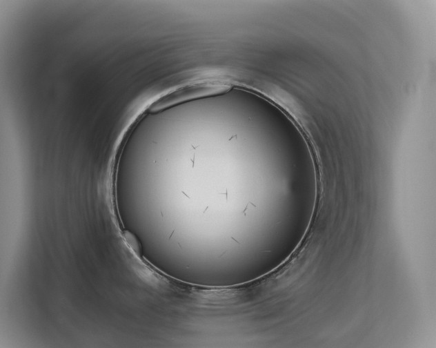 X0000113061392200908281125
