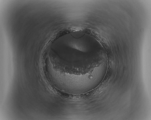 X0000113061393200908281124