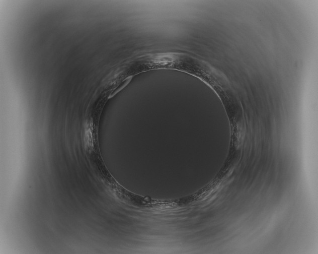X0000113061394200908281125