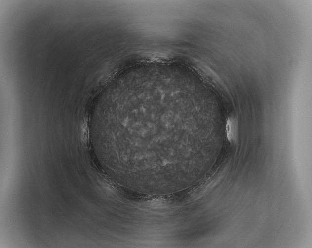 X0000113061395200908281125
