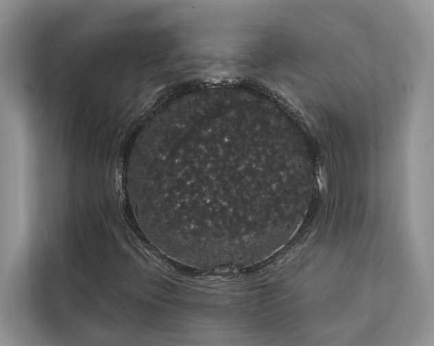 X0000113061396200908281125