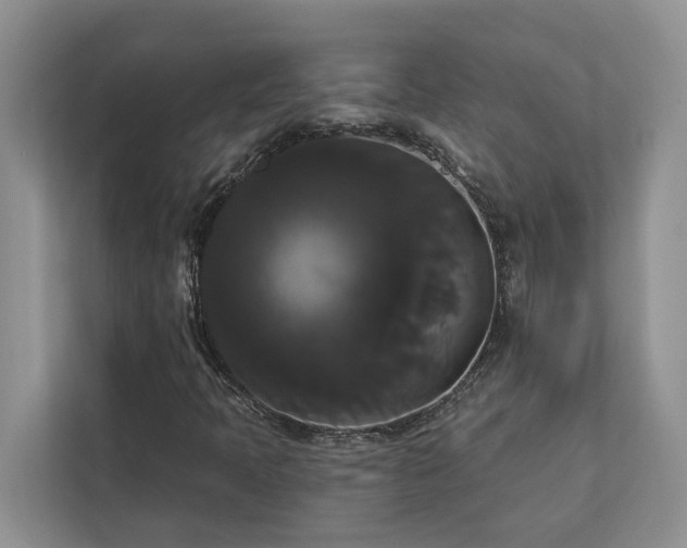 X0000113061397200908281125